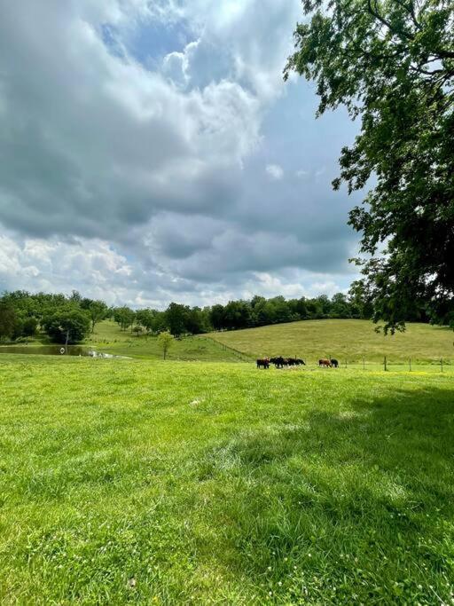 Bourbon Trail Cabin On The Farm Lawrenceburg Екстер'єр фото