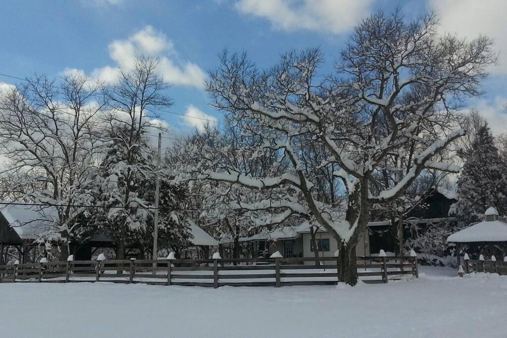 Bourbon Trail Cabin On The Farm Lawrenceburg Екстер'єр фото