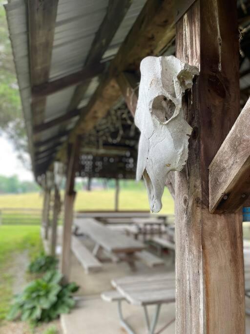 Bourbon Trail Cabin On The Farm Lawrenceburg Екстер'єр фото