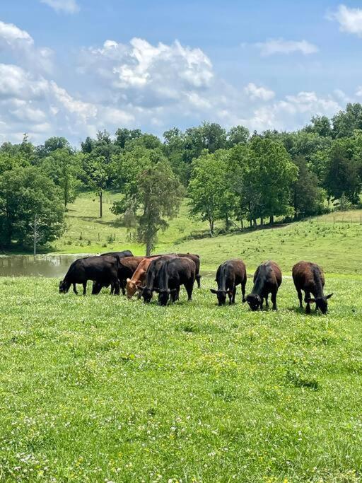 Bourbon Trail Cabin On The Farm Lawrenceburg Екстер'єр фото